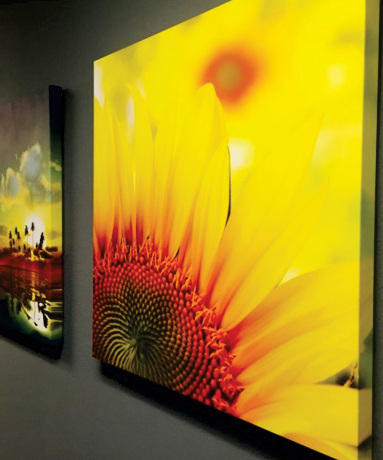 Canvas